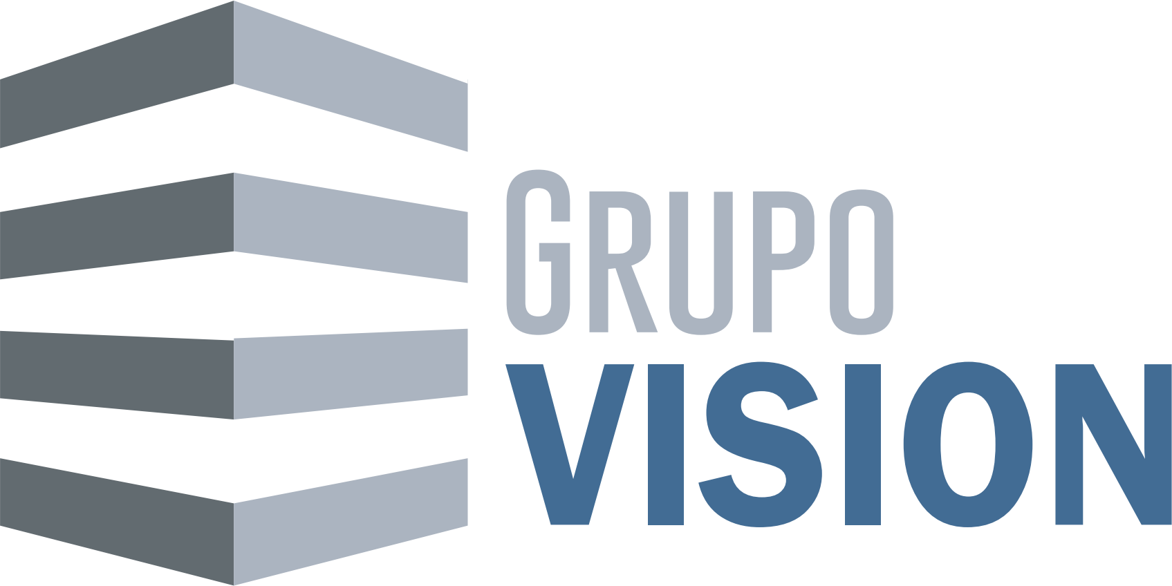 Grupo Vision